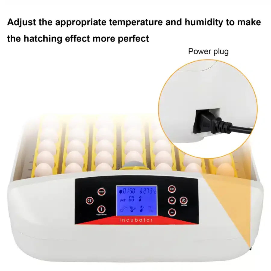 42-Egg Practical Fully Automatic Poultry Incubator