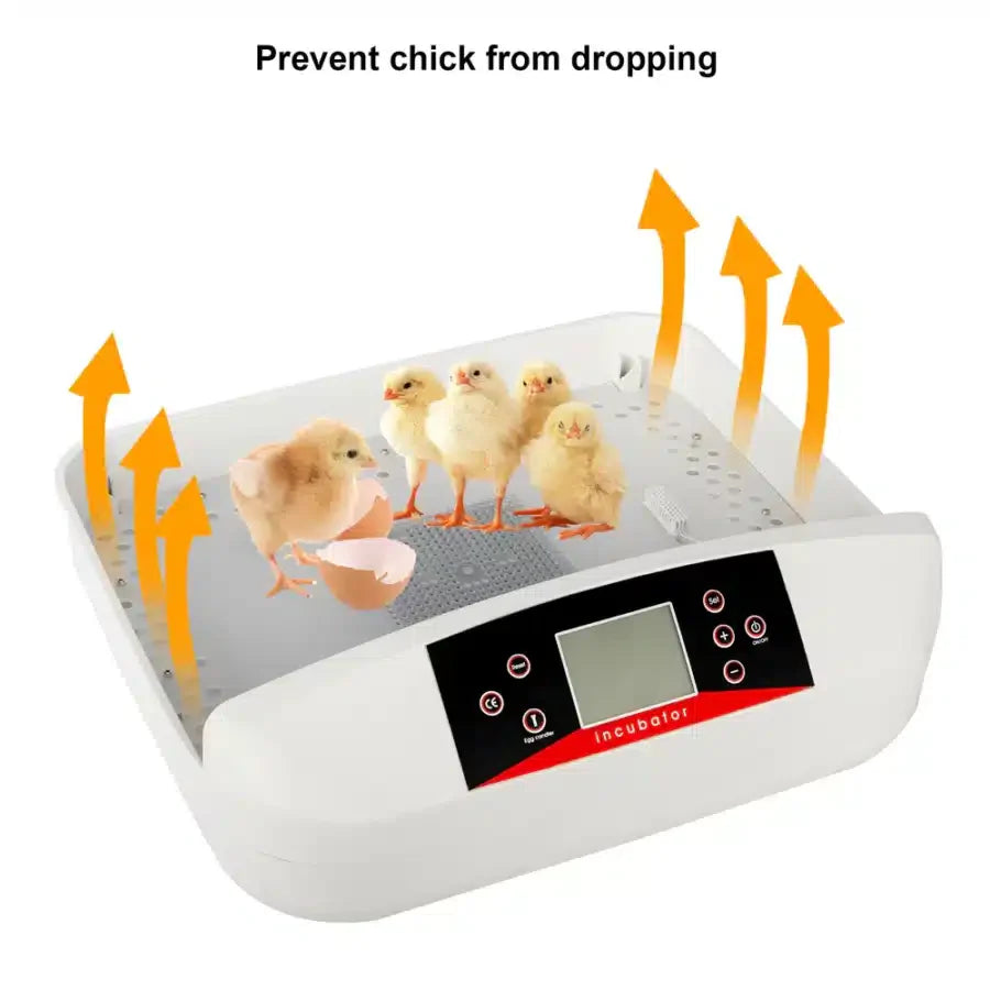 42-Egg Practical Fully Automatic Poultry Incubator