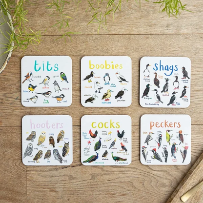 Set of 6 Bird Pun Coasters