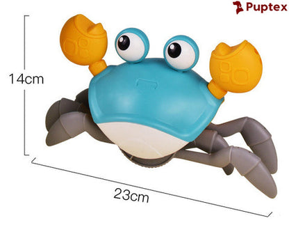 Crawling Crab – Interactive Dog Toy