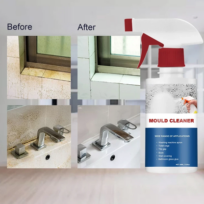 Mold Cleaner