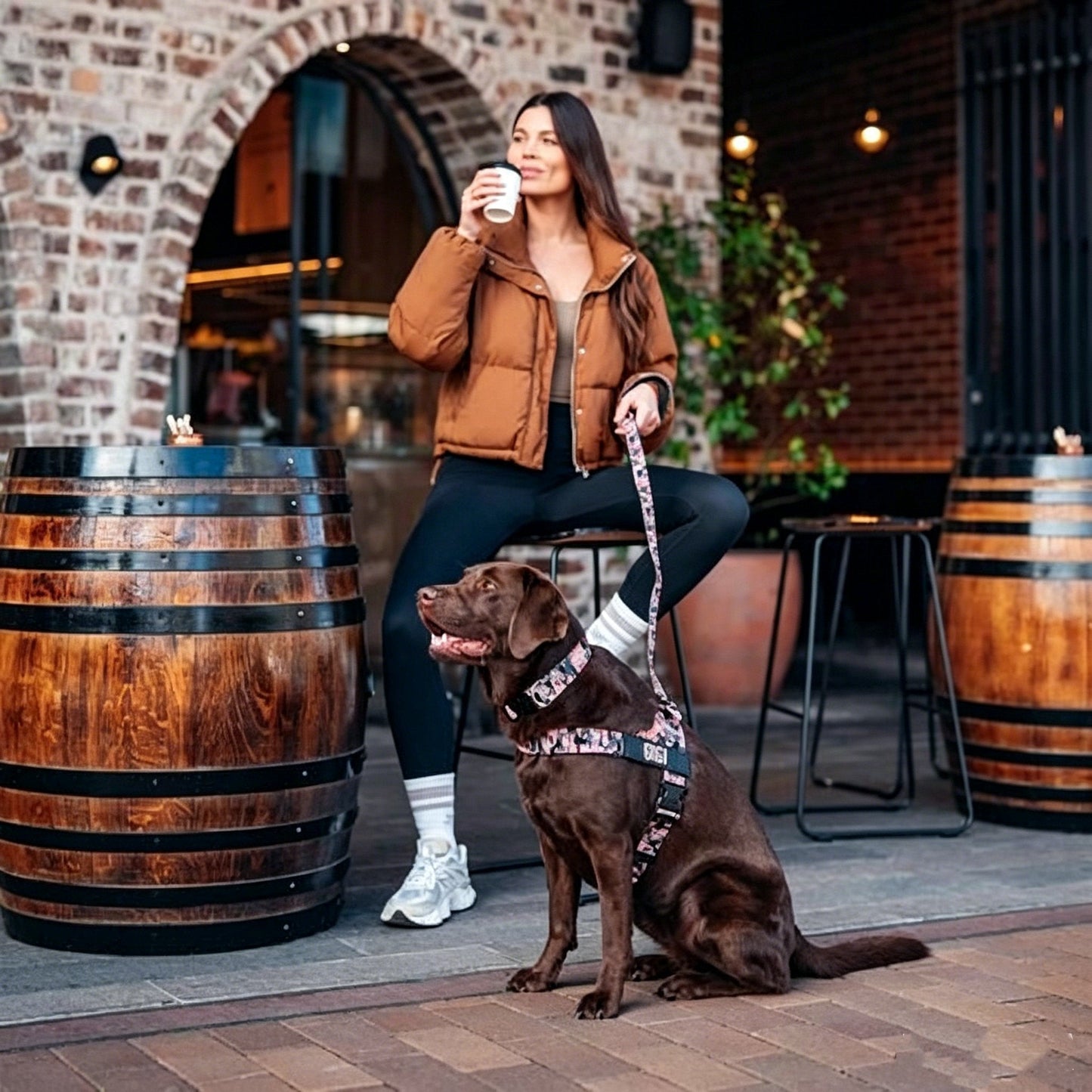 The Dog Harness That Stops Pulling — Without Sacrificing Comfort