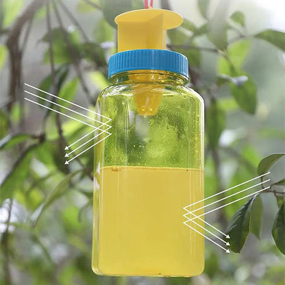 Fruit Fly Trap Bottle with Four Entry Points and Hanging Loop for Gardens