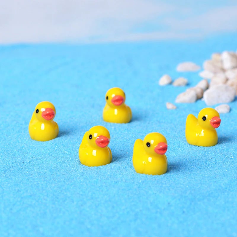 Tiny Ducks | Challenge Hiding Ducks(50 Pcs)