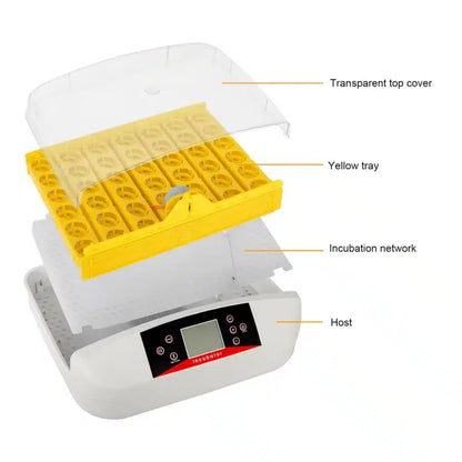 42-Egg Practical Fully Automatic Poultry Incubator