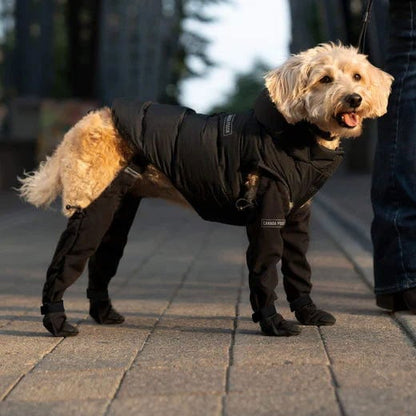 Canadapooch Suspender Boots For Dogs