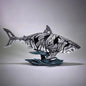 Contemporary Animal Sculpture Collection Animal Scul Shark