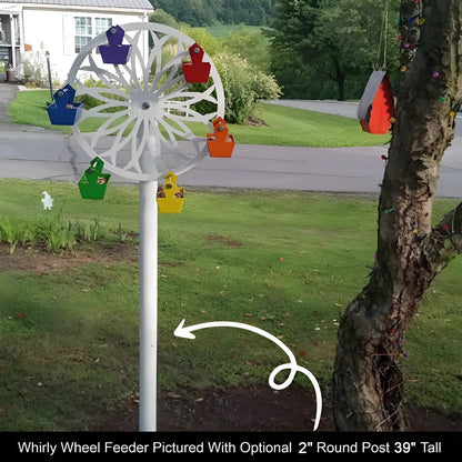 The Ferris Wheel of Fun for Your Feathered Friends