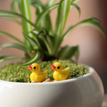 Tiny Ducks | Challenge Hiding Ducks(50 Pcs)