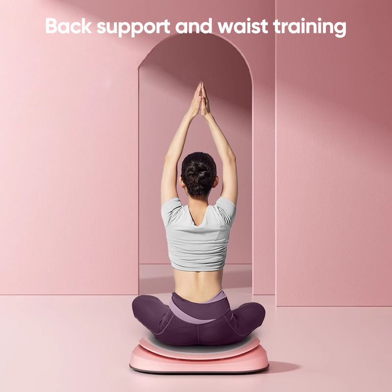 Seated Waist Twisting Machine