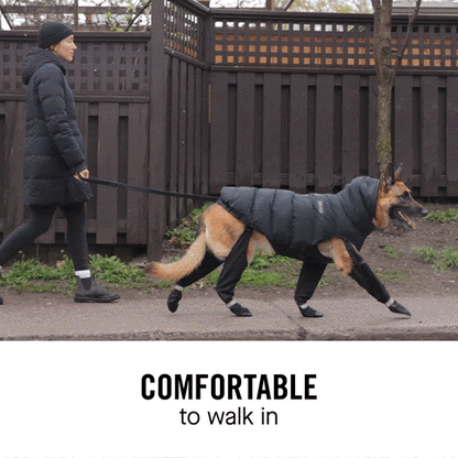 Canadapooch Suspender Boots For Dogs