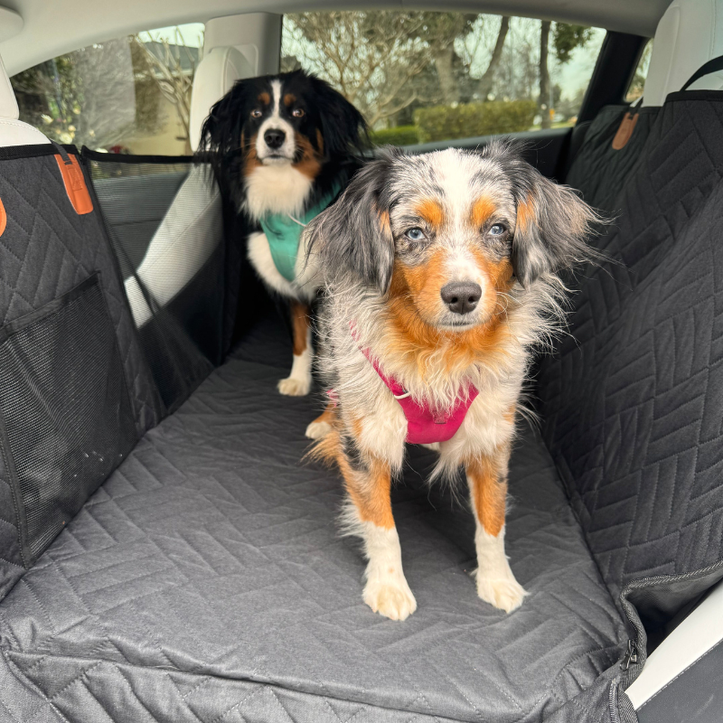 Comfyride™ Hard-Bottomed Dog Car Seat Cover