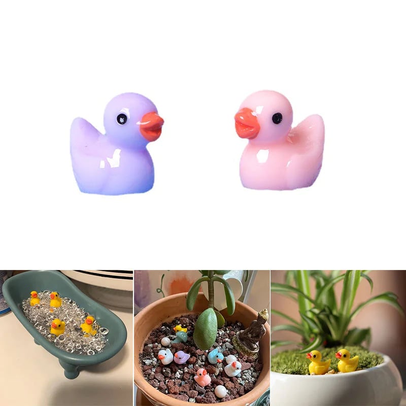 Tiny Ducks | Challenge Hiding Ducks(50 Pcs)