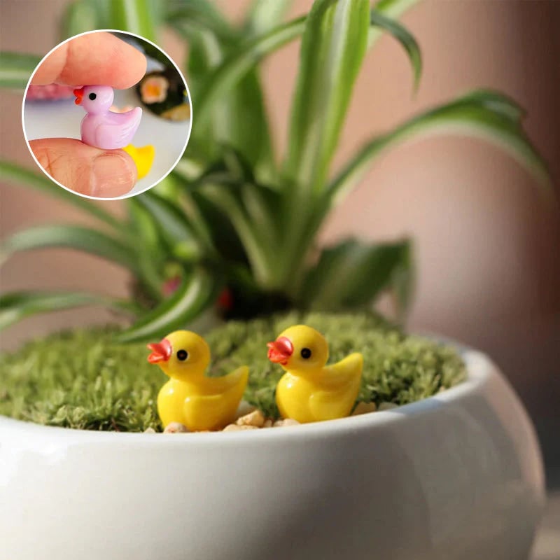 Tiny Ducks | Challenge Hiding Ducks(50 Pcs)