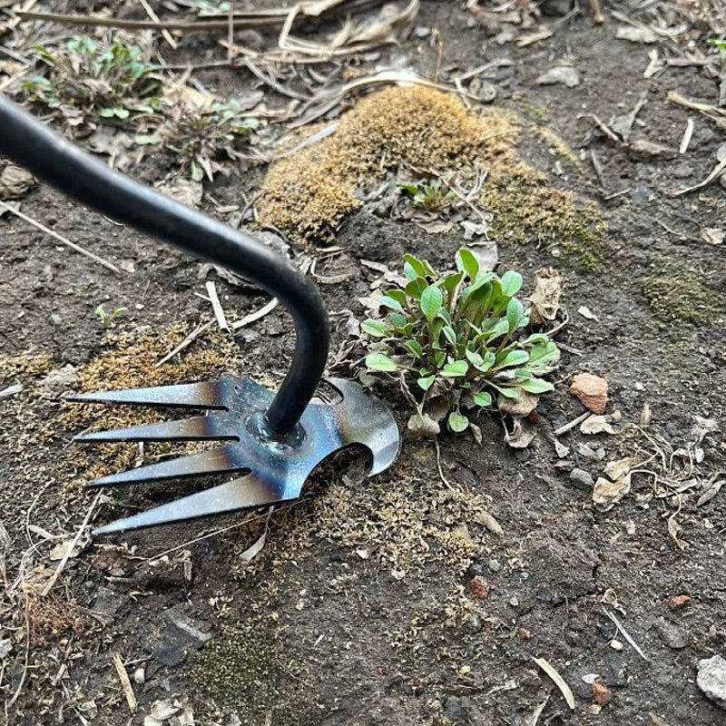 Standing Weed Puller with Four Steel Teeth and Extended Handle