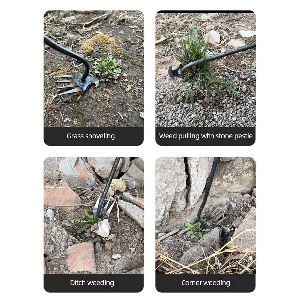 Standing Weed Puller with Four Steel Teeth and Extended Handle