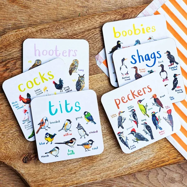 Set of 6 Bird Pun Coasters