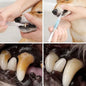 Pet Toothbrush Cleaning Solution with Soft Bristle Formula for Dogs and Cats