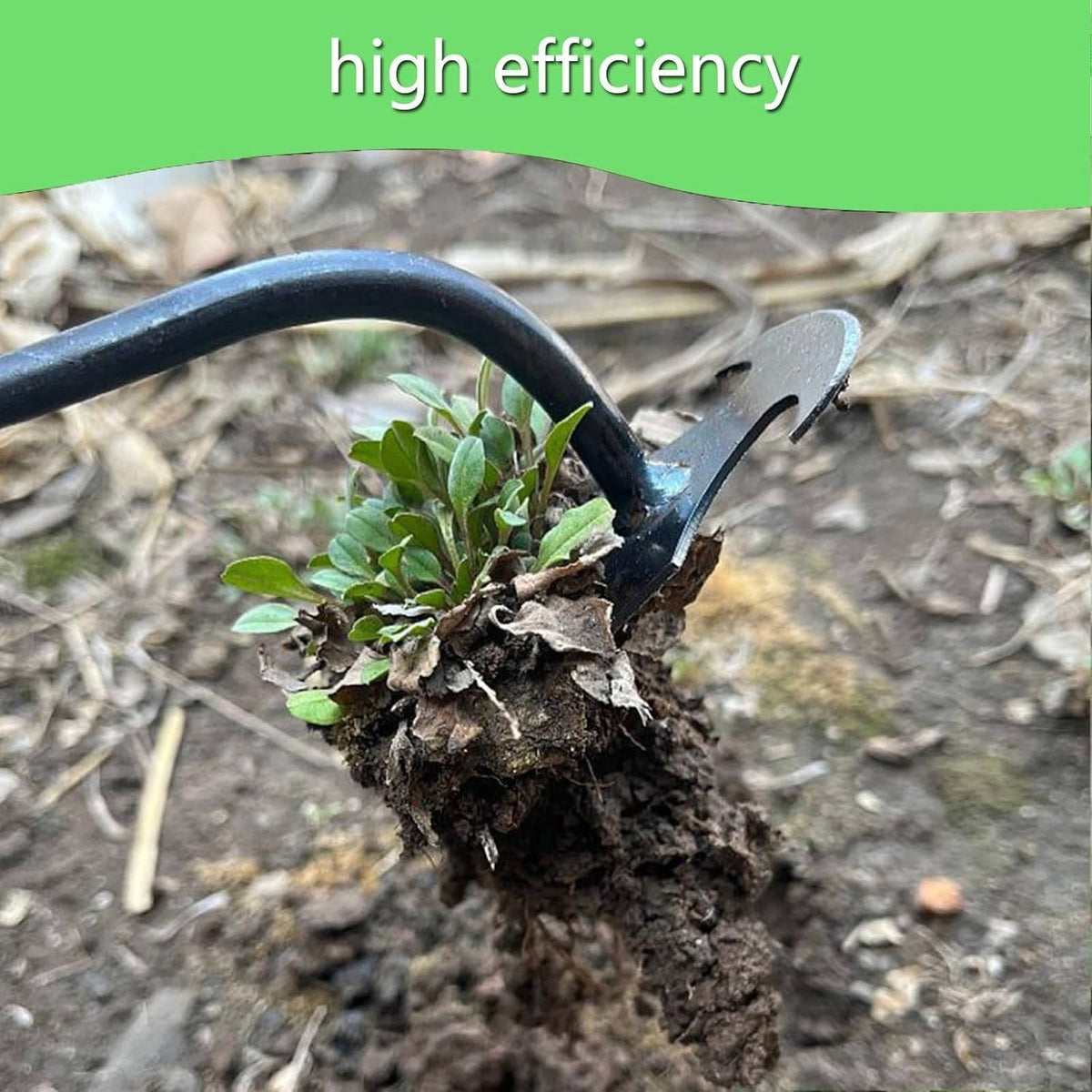 Standing Weed Puller with Four Steel Teeth and Extended Handle