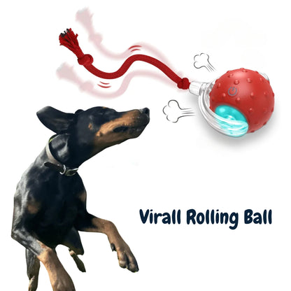 Interactive Dog Ball