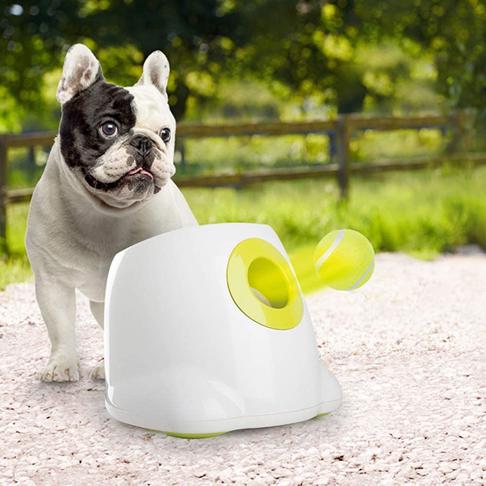 Automatic Tennis Ball Launcher Dog Training Toy