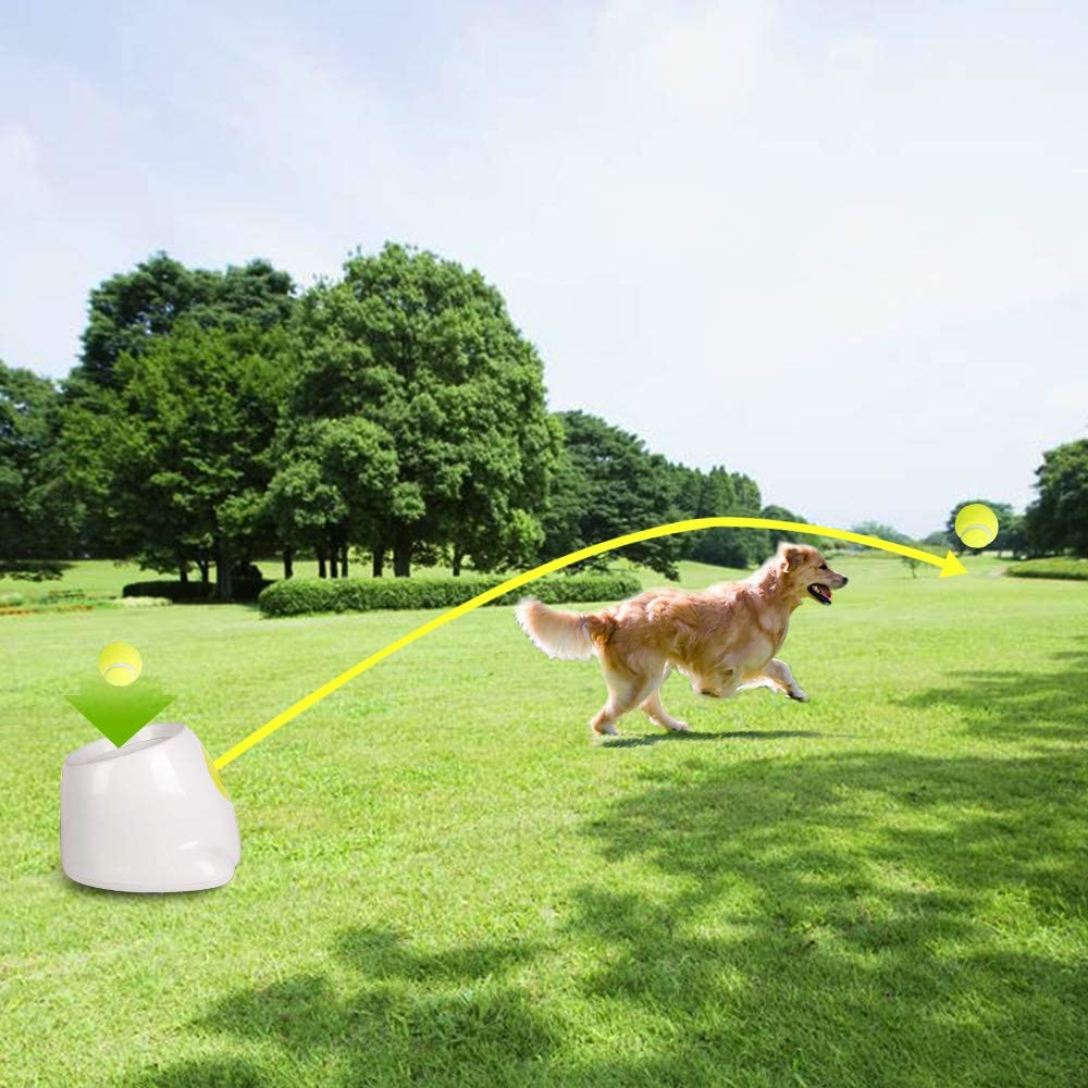 Automatic Tennis Ball Launcher Dog Training Toy