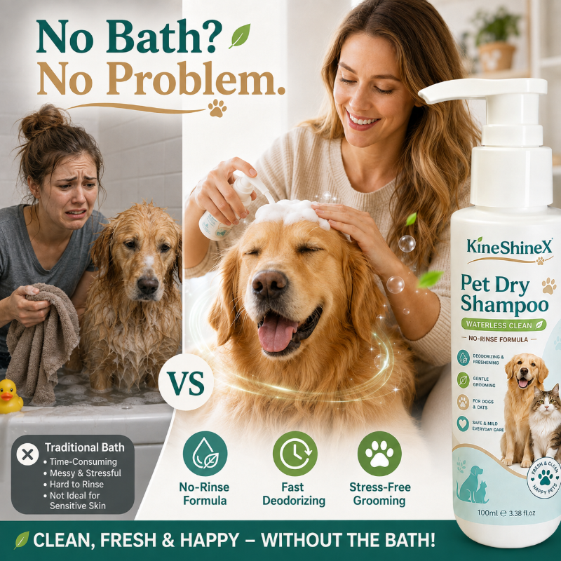 No‑bath pet cleaning foam