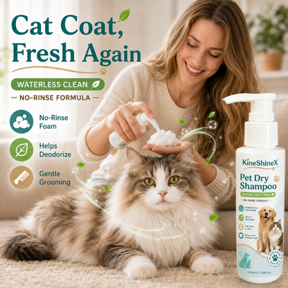 No‑bath pet cleaning foam