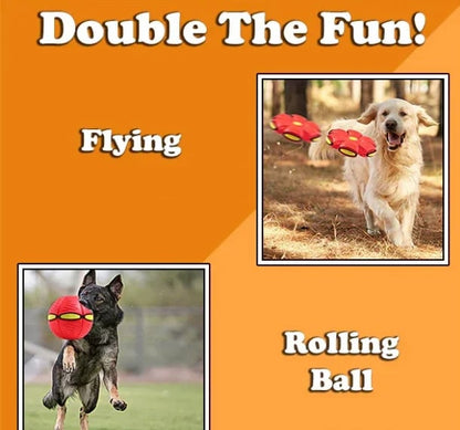 The Doggy Disc Ball